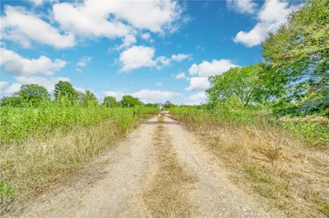 County Road 443
