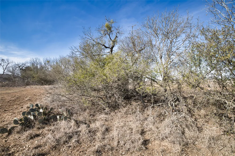 11639 Voges Pass Schertz, TX 78108