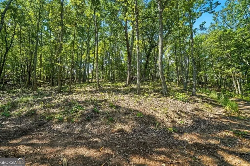 0 Debord DR Waleska, GA 30183