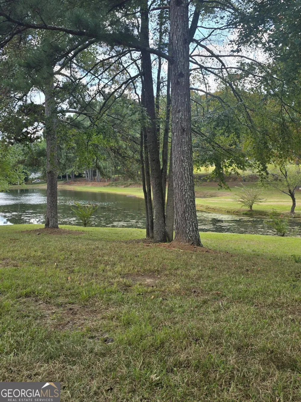4462 Lee RD Snellville, GA 30039