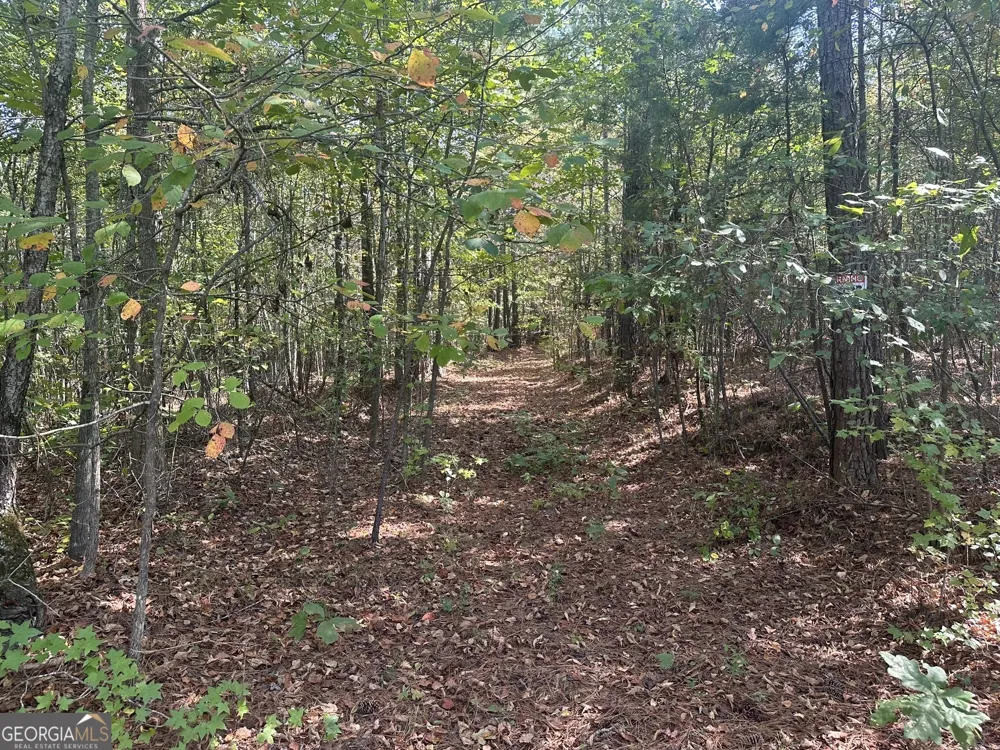 0 George Green RD Tallapoosa, GA 30176