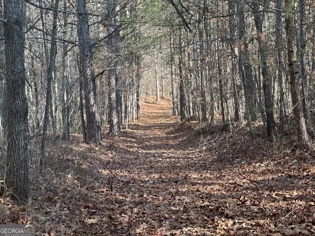 0 George Green RD Tallapoosa, GA 30176
