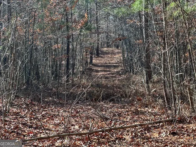 0 George Green RD Tallapoosa, GA 30176