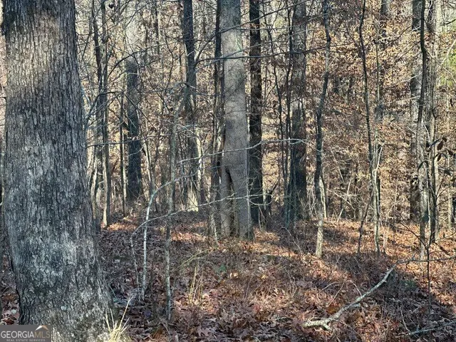 0 George Green RD Tallapoosa, GA 30176