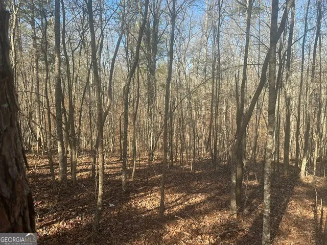 0 George Green RD Tallapoosa, GA 30176