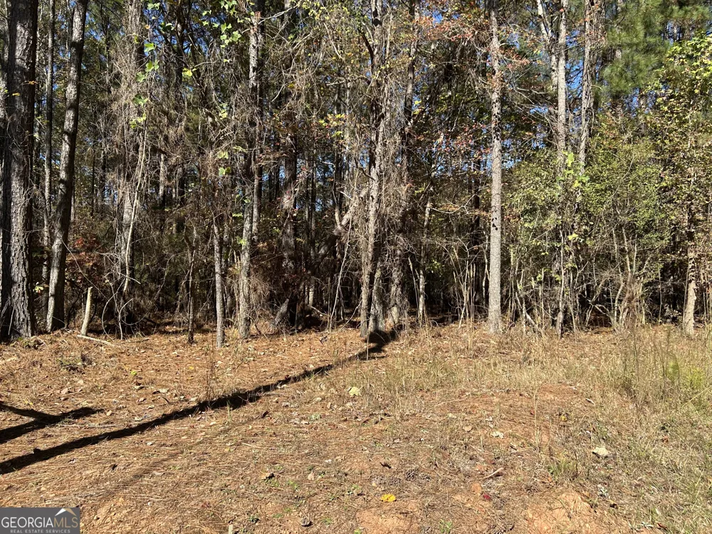 0 Primrose CIR Greenville, GA 30222