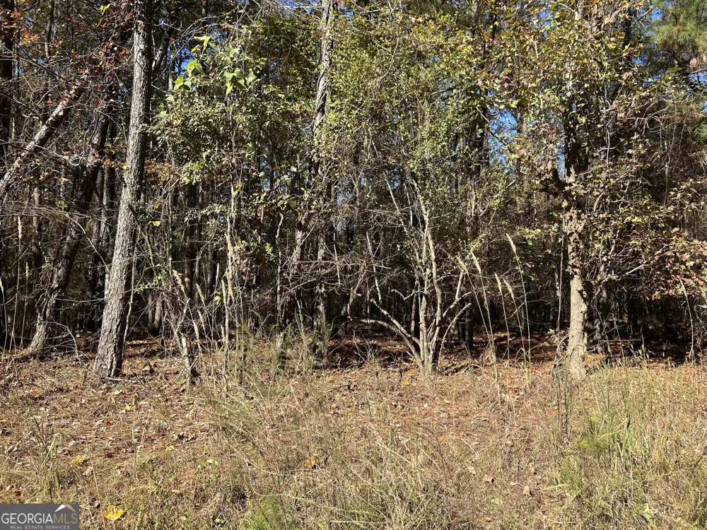 0 Primrose CIR Greenville, GA 30222