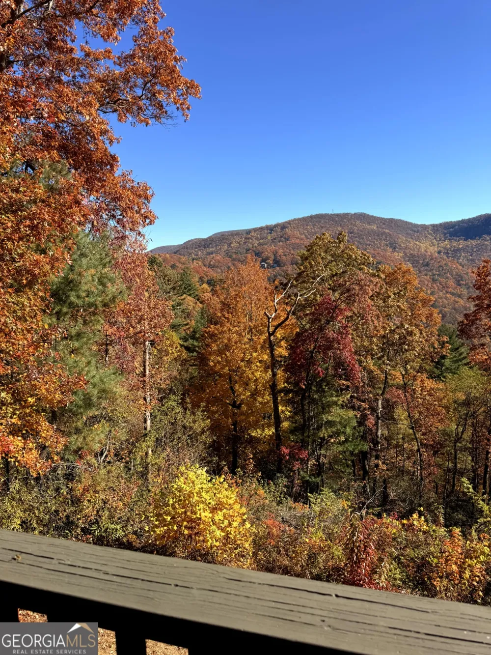 2379 Ridgepole DR Sky Valley, GA 30537