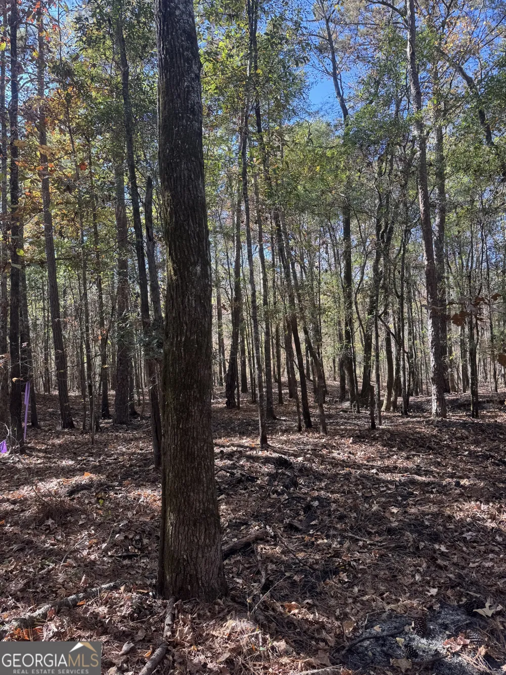 157 W Drummond RD West Point, GA 31833