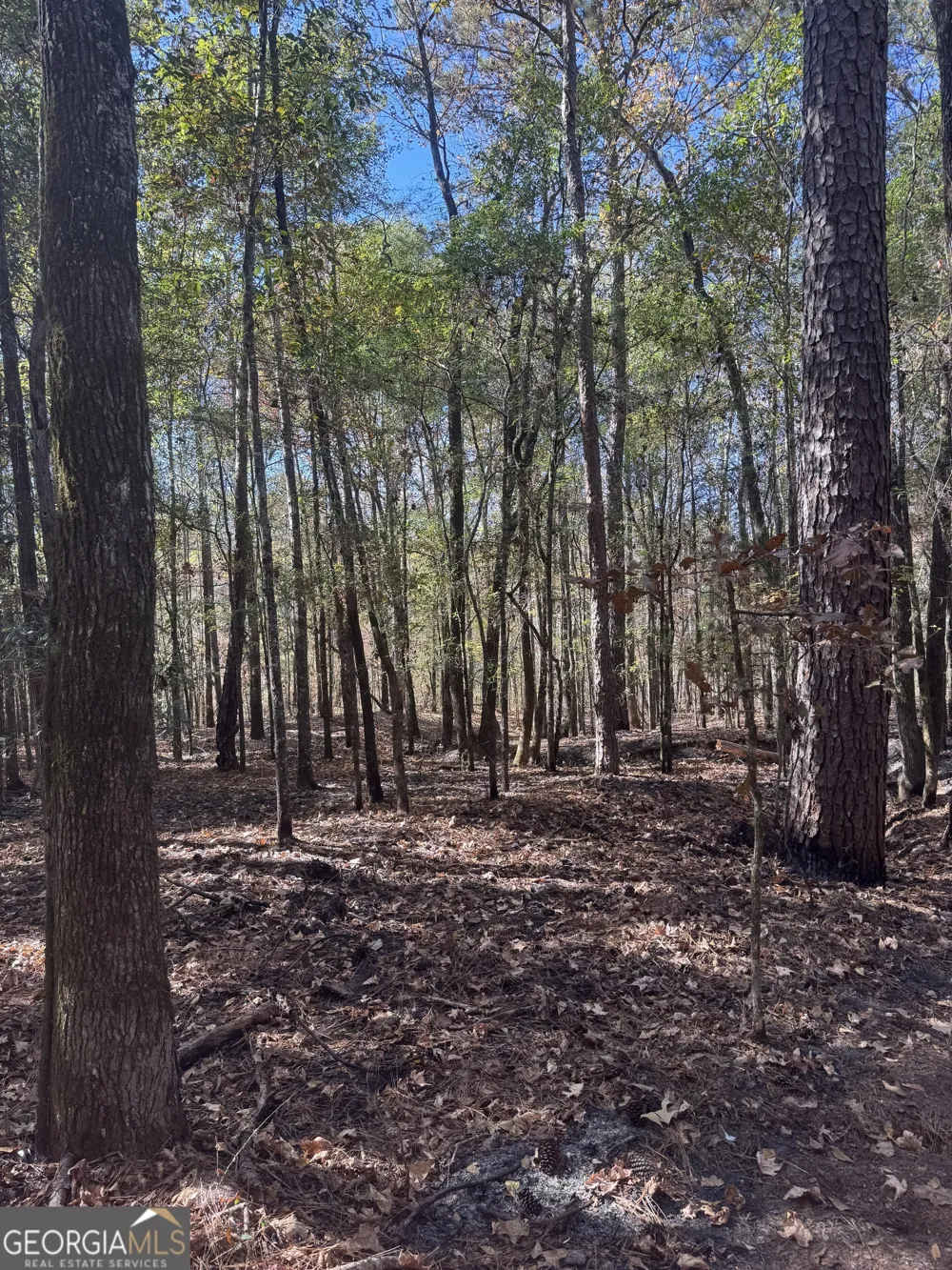 157 W Drummond RD West Point, GA 31833