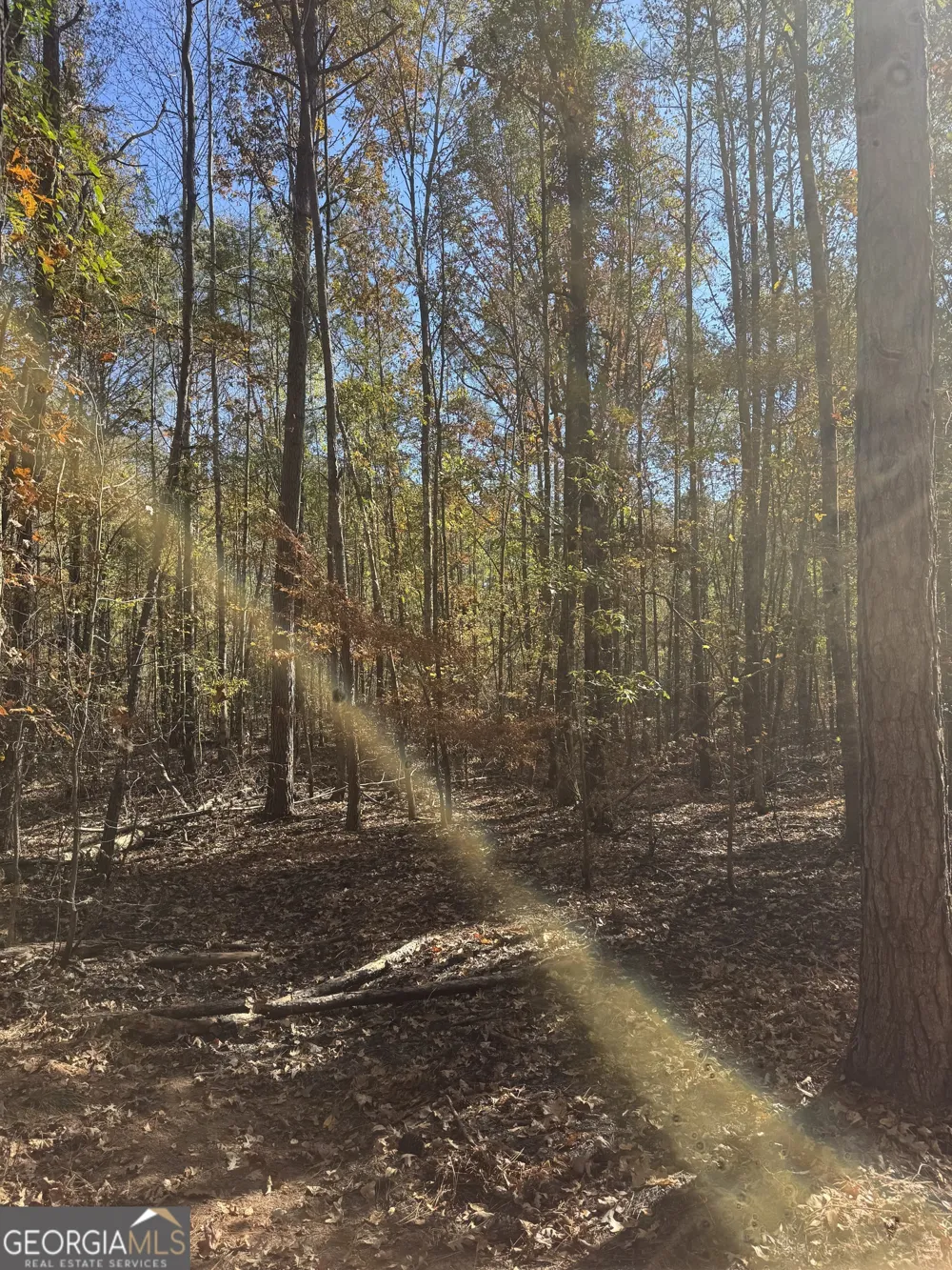 157 W Drummond RD West Point, GA 31833