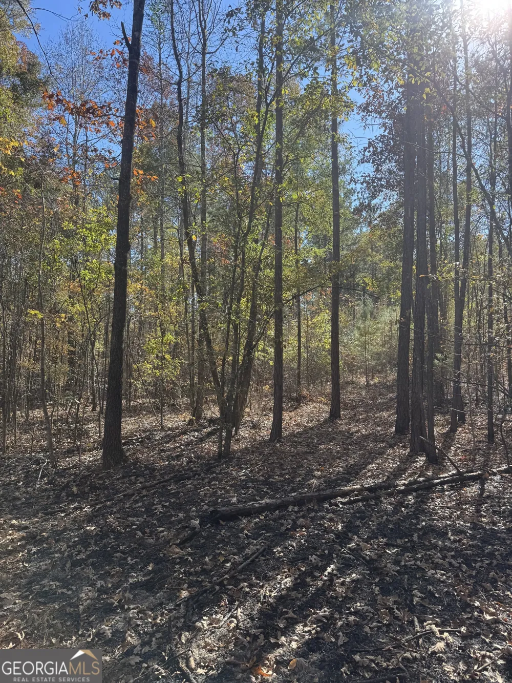 157 W Drummond RD West Point, GA 31833