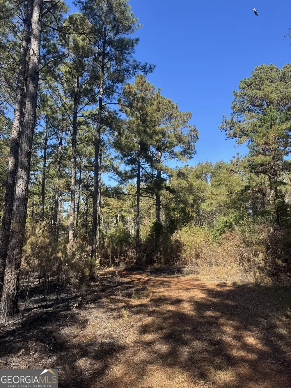 131 W Drummond RD West Point, GA 31833