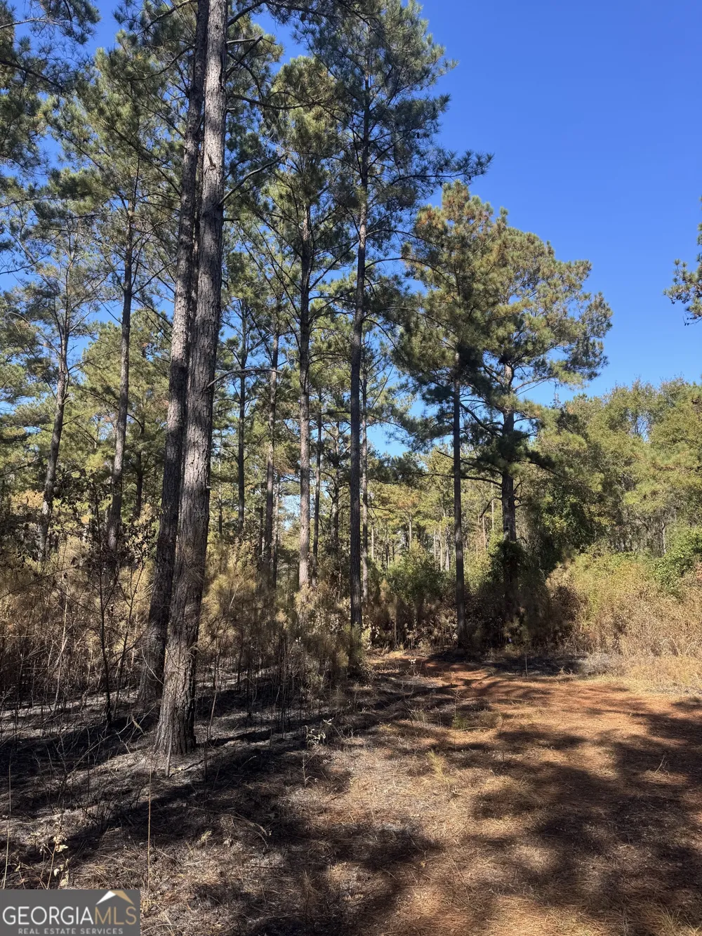 131 W Drummond RD West Point, GA 31833