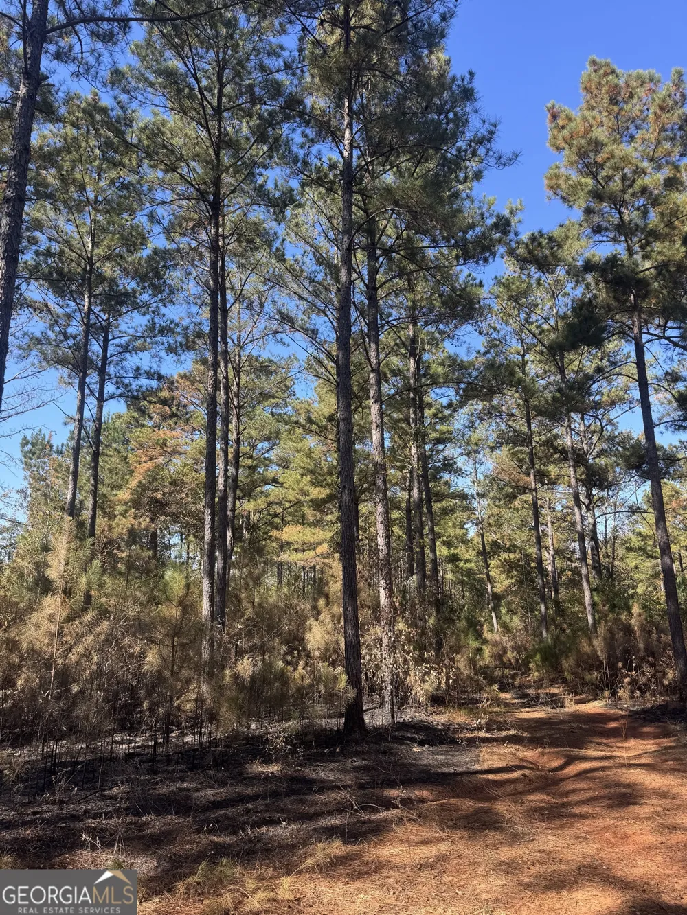 131 W Drummond RD West Point, GA 31833