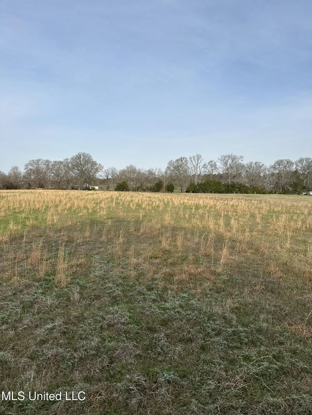 Ms-469 Florence, MS 39073