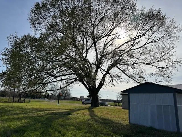 18943 State Highway 7 Centerville, TX 75833