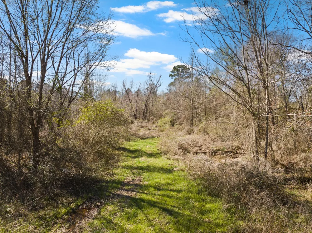 Nix Street Daingerfield, TX 75638