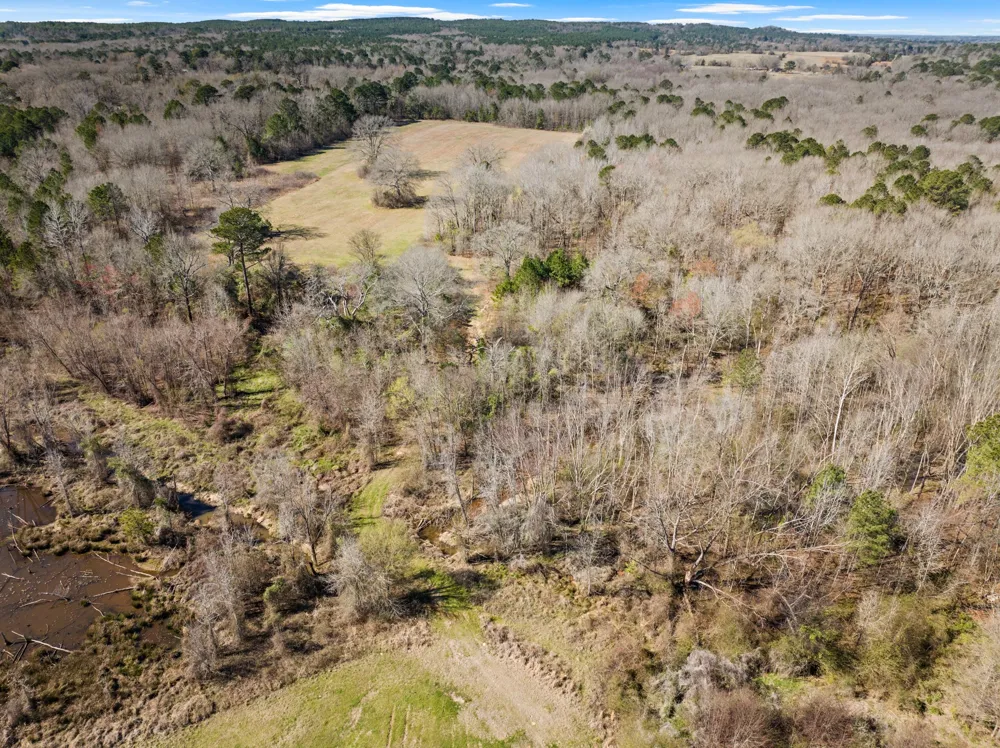 Nix Street Daingerfield, TX 75638