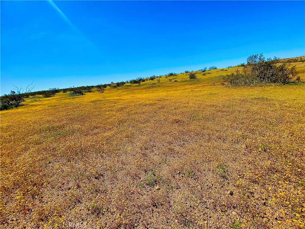 Avenue E-4 Unit #E4/183 Hi Vista, CA 93535