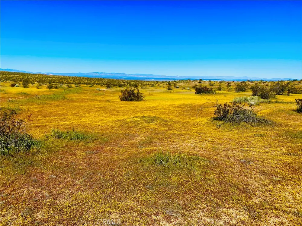 Avenue E-4 Unit #E4/183 Hi Vista, CA 93535