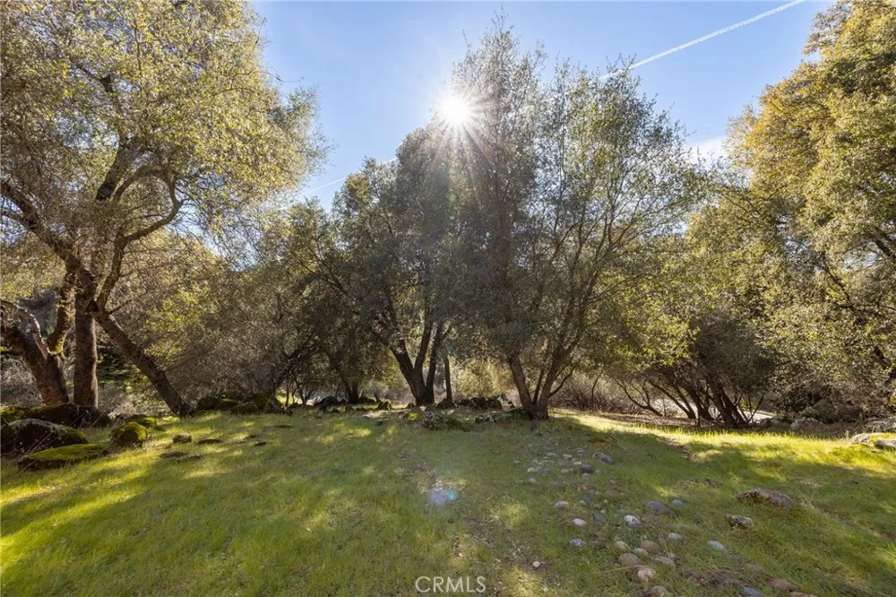 39301 Moonray Lane Oakhurst, CA 93644