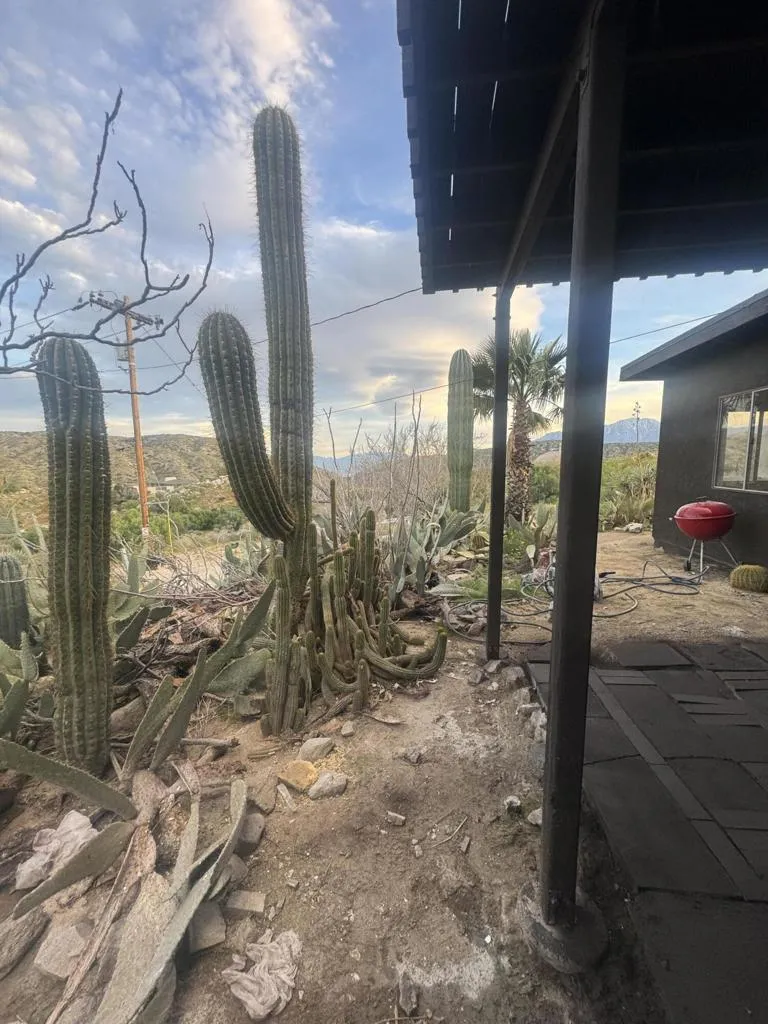 49075 Matzene Drive Morongo Valley, CA 92256