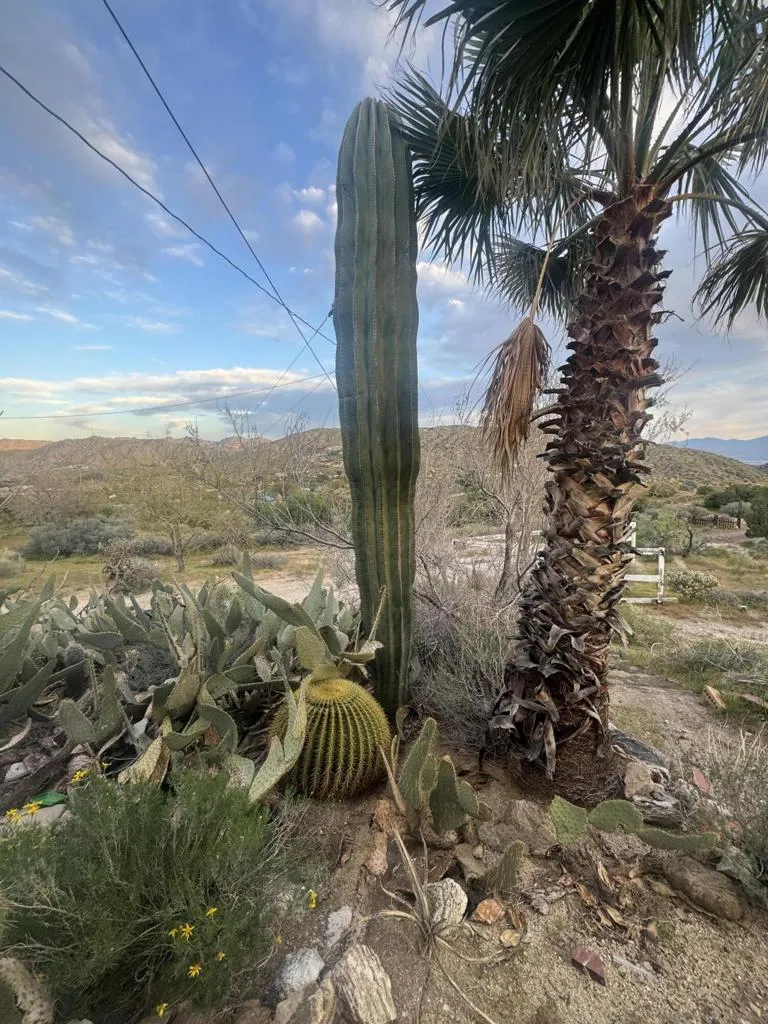 49075 Matzene Drive Morongo Valley, CA 92256
