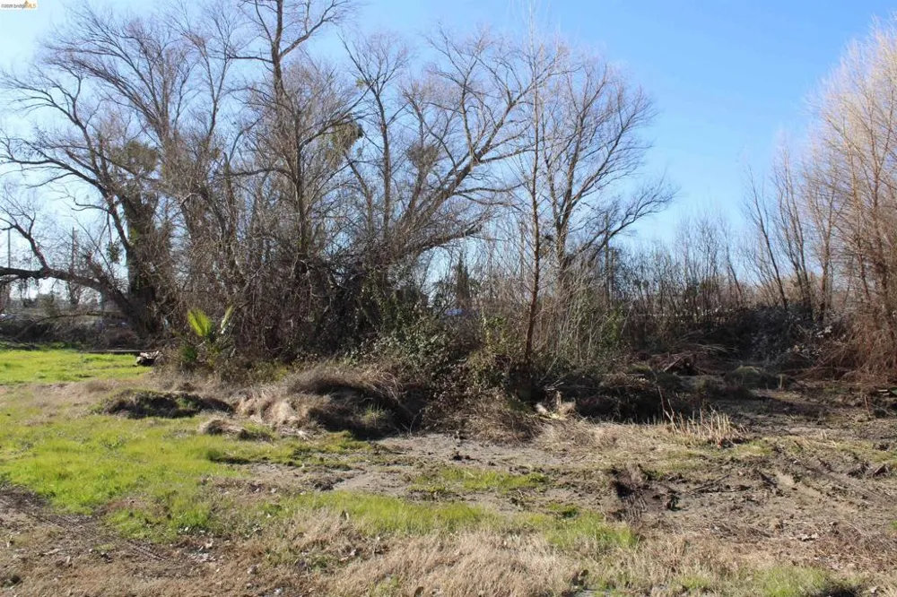 408 Park Ln Bethel Island, CA 94511