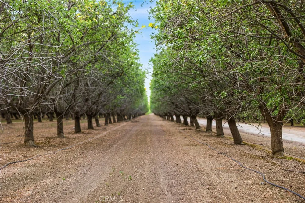 I5/Shields Firebaugh, CA 93622