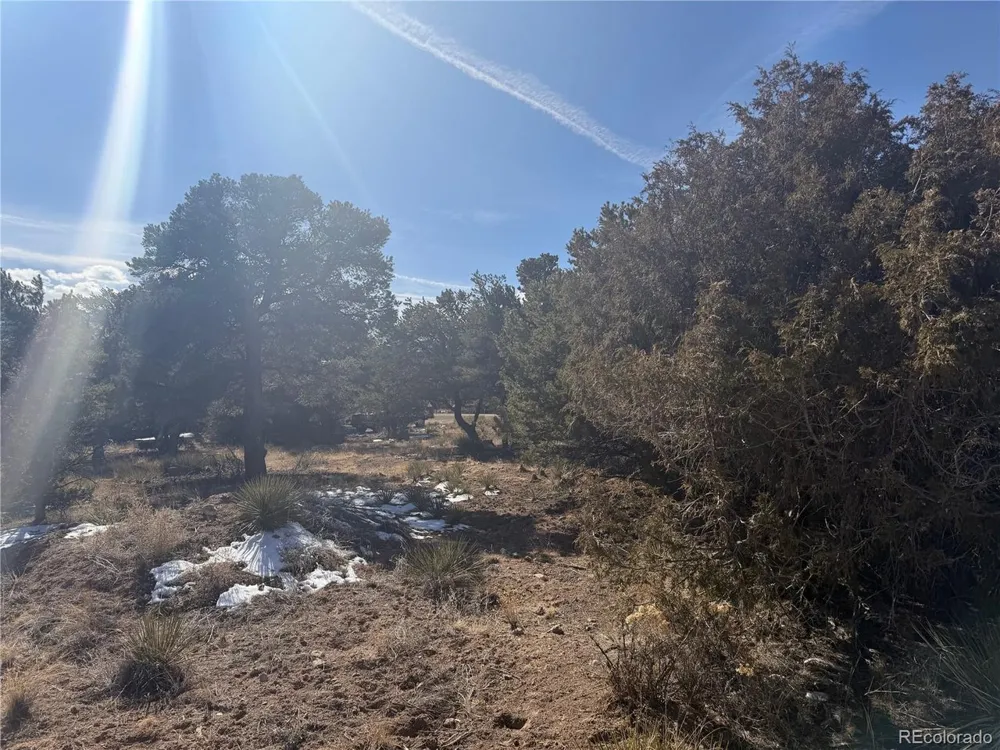 390 Cameron Pass Road South Fork, CO 81154
