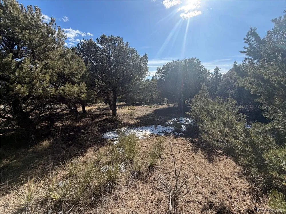 390 Cameron Pass Road South Fork, CO 81154