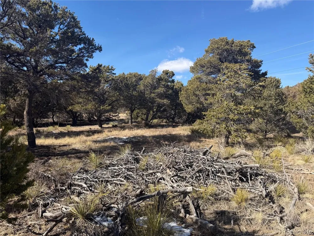 390 Cameron Pass Road South Fork, CO 81154