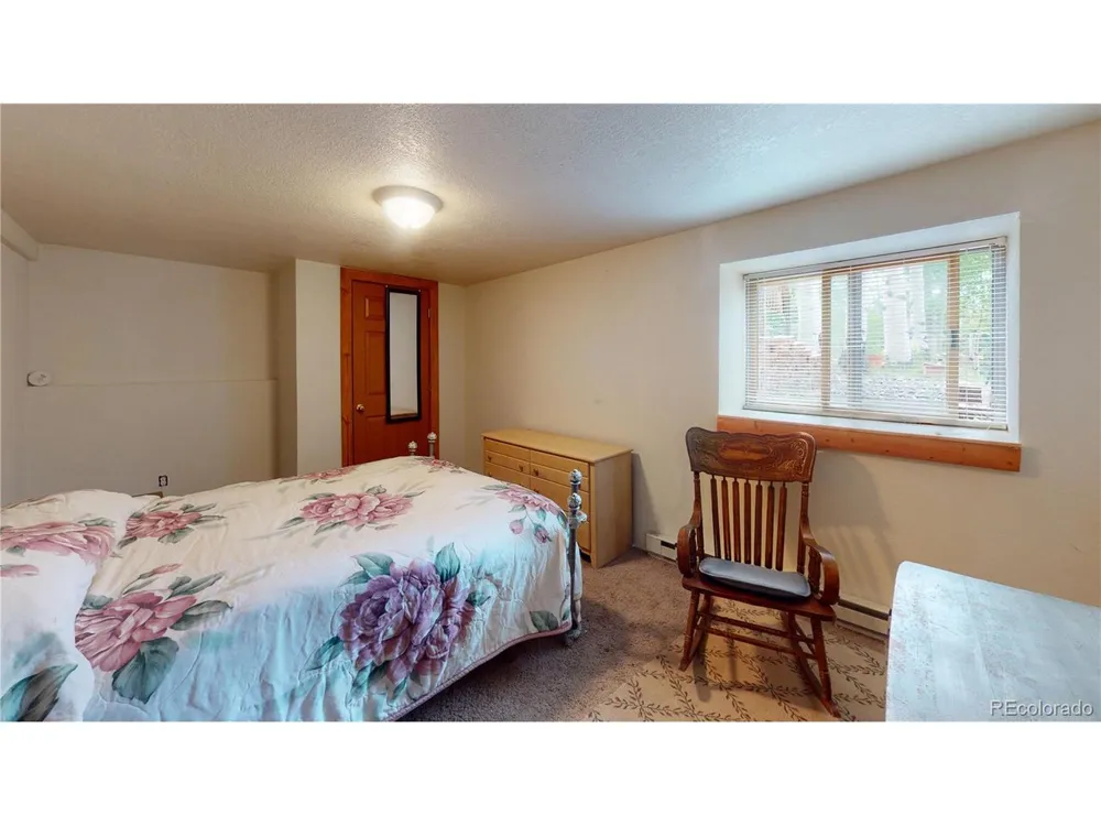 1011 Castle Ridge View Cripple Creek, CO 80813