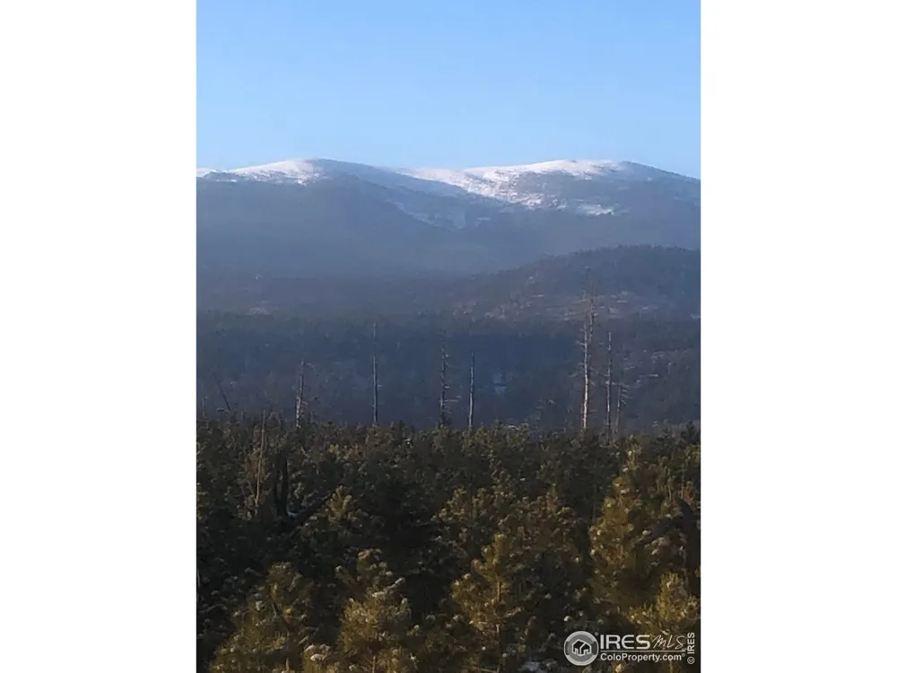 2315 Ridge Road Nederland, CO 80466