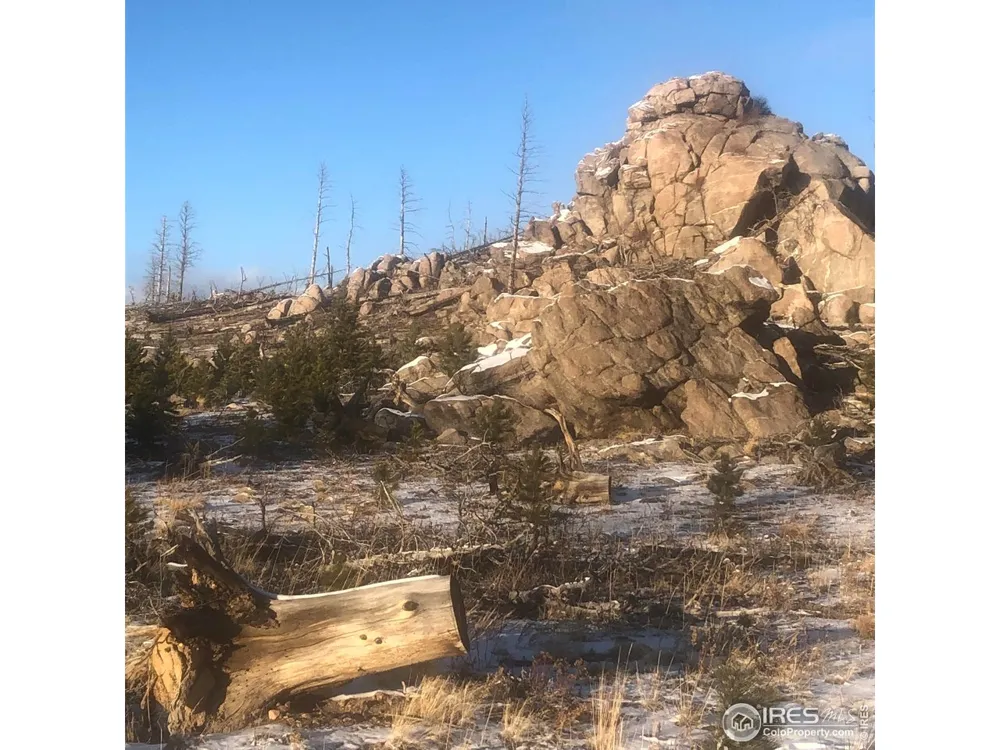 2315 Ridge Road Nederland, CO 80466