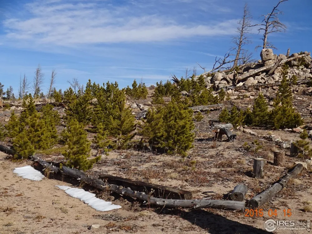 2315 Ridge Road Nederland, CO 80466