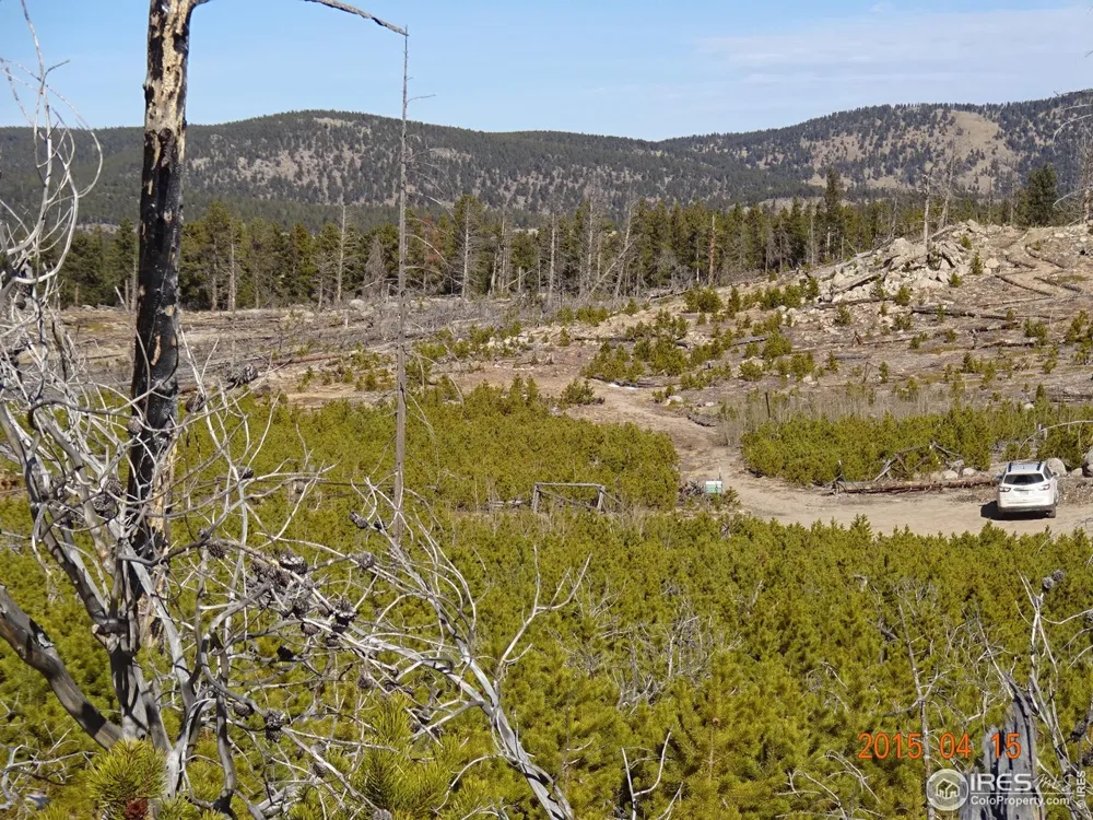 2315 Ridge Road Nederland, CO 80466