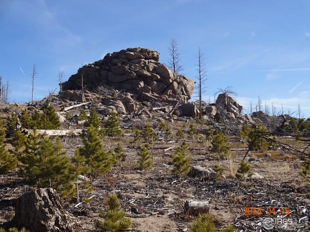 2315 Ridge Road Nederland, CO 80466