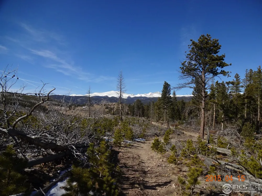 2315 Ridge Road Nederland, CO 80466