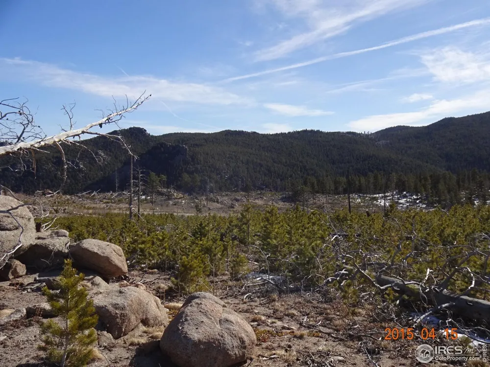 2315 Ridge Road Nederland, CO 80466