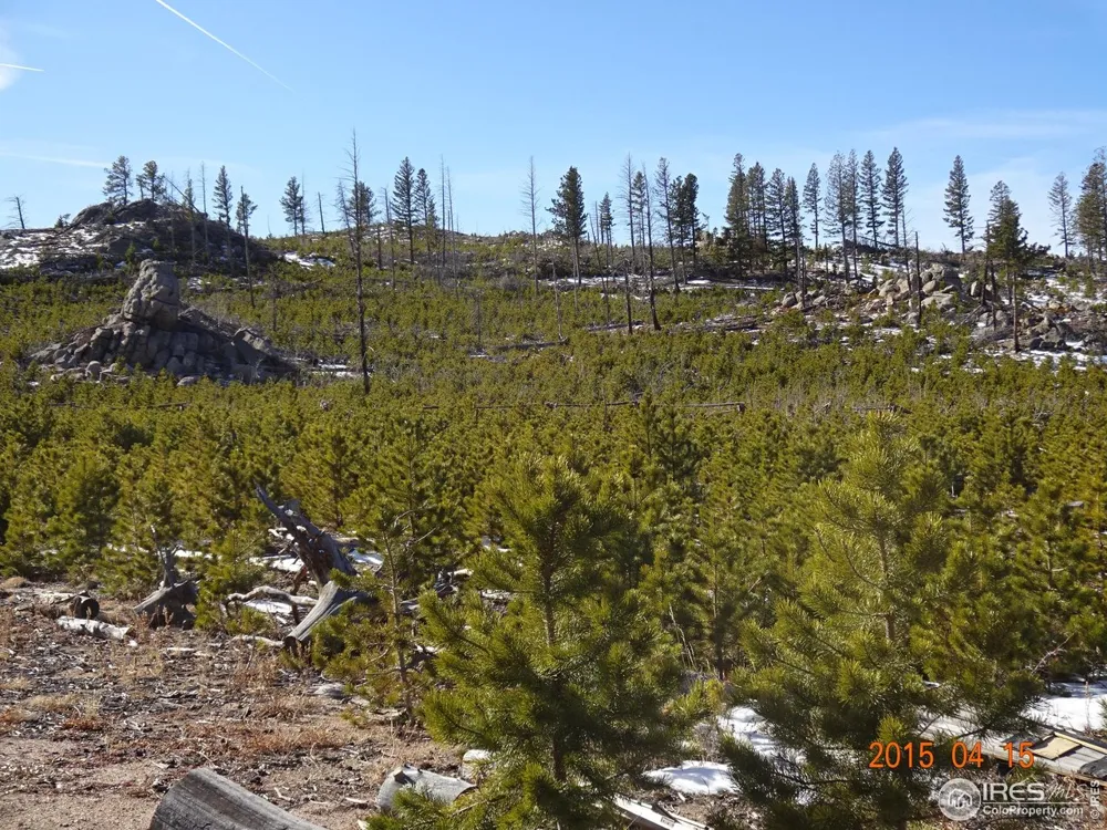 2315 Ridge Road Nederland, CO 80466