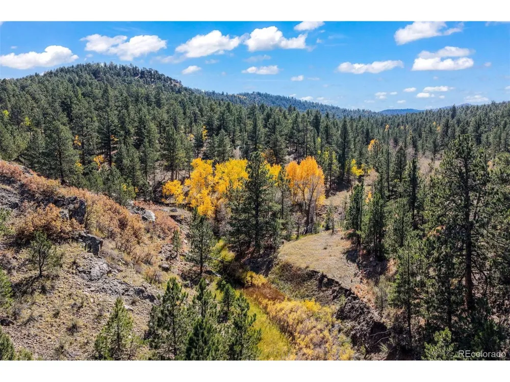 838 County Road 260 Westcliffe, CO 81252
