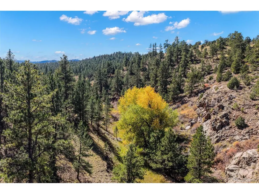 838 County Road 260 Westcliffe, CO 81252