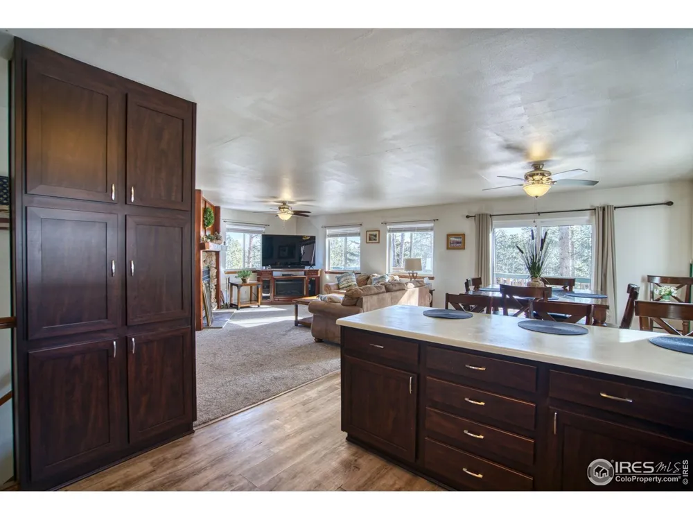 231 Snake Lake Drive Red Feather Lakes, CO 80545
