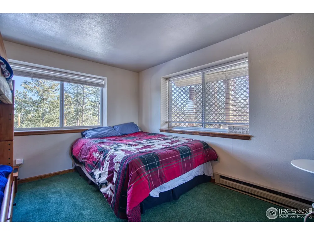 231 Snake Lake Drive Red Feather Lakes, CO 80545
