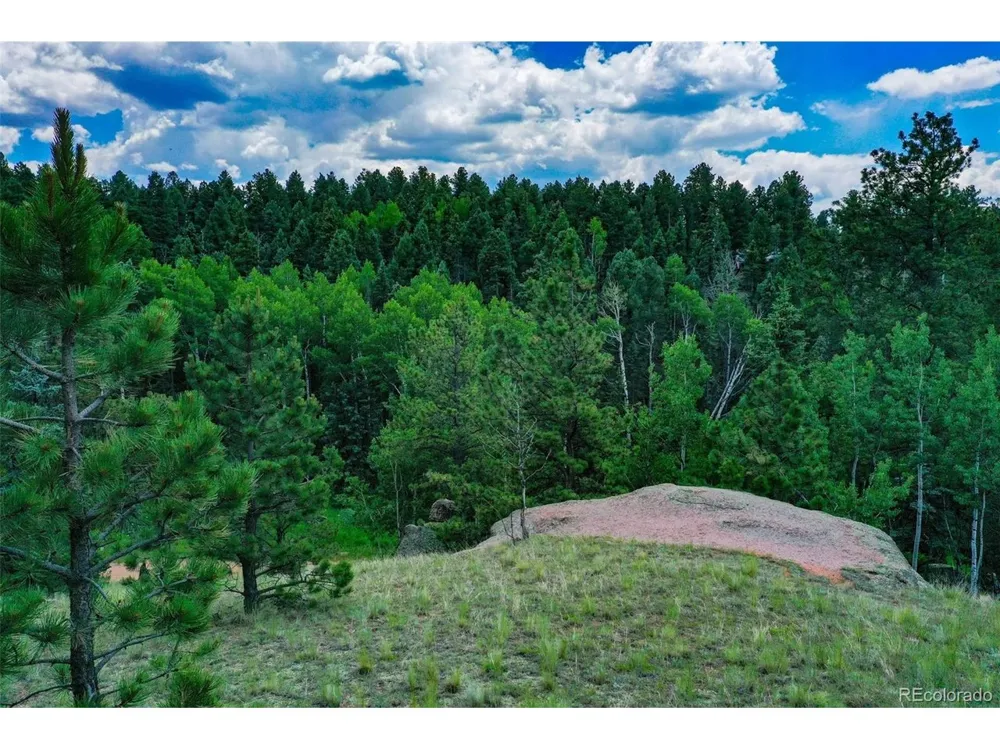 525 Spring Valley Lane Florissant, CO 80816