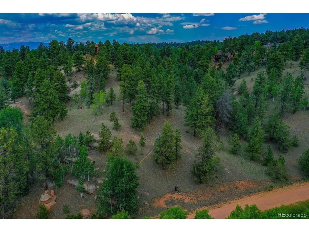 525 Spring Valley Lane Florissant, CO 80816