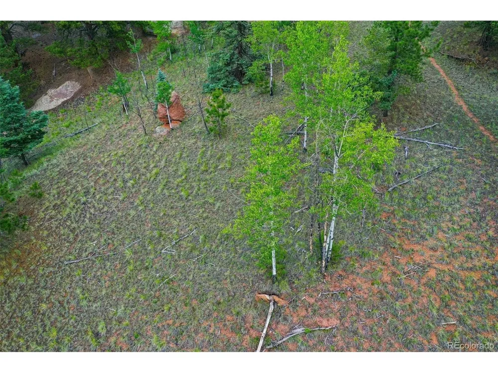 525 Spring Valley Lane Florissant, CO 80816