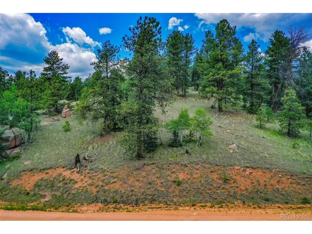 525 Spring Valley Lane Florissant, CO 80816